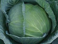 �������: ���������, �������, ������ � ������� ����� � ������ � ������������� ����� ����� �������� ������ ��� � ������� ���� � ������ ��� �����? ������� �������