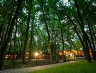 ���������: ����� ����������� 2355 �, ��, ���������, ���� �������� �������� ������� ����������� ������ �������� 2355 �. �� �� 110 ������ ����������� � ������. ���