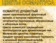 ������������: �������� ������������ ��� � ������ �� ������� �Tropical life-�������� �������.   ������ �� 2000 ���.   �������������� ������.   1. ��� ��������� �����