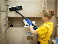 ���������: ������ Cleaning Bees � ���������������� ������� � ���������� ������ Cleaning Bees � ���������������� ������� � ����������    ����� 10 ��� ������ ����