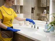 ���������: ������ Cleaning Bees � ���������������� ������� � ���������� ������ Cleaning Bees � ���������������� ������� � ����������    ����� 10 ��� ������ ����