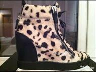           Giuseppe Zanotti   39      ,  -  