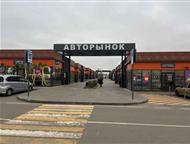 ������: 5 ����� ������������ �� ����������� ������� (91 �� ����) 5 ����� ������������ �� ����������� ������� (91 �� ����)    ������ ���� ����� ��� �����������