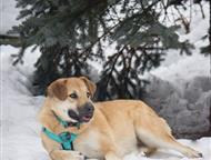 ������: �������� ���������� ���� ��� � ������� �����! � ������ ����, ������ � �������.   ����������, 4, 5 ����.   �� ���������� ����� ���� � ����� ��� ���� ��