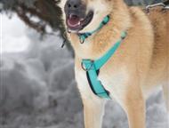 ������: �������� ���������� ���� ��� � ������� �����! � ������ ����, ������ � �������.   ����������, 4, 5 ����.   �� ���������� ����� ���� � ����� ��� ���� ��