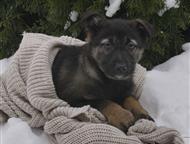 ������: ���� ������������� �������� ���� ���, #������ , ������ � ������� ������  �� �����-������� ����� �����, � ������ ��� �������� ���, �� �������� ����� ��