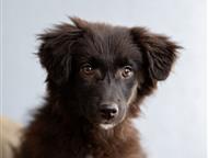 ������� �������� ������ ���� ���, �� �������. ������ ������, ������� ����� ����� ���� �������.   ����� �������, �������, �������� � ���������� �������, ������ - ����� �����