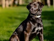 ������: �������� ������� ��������� ���� ���, ������ 1 ���. �������������, �������, ����������. ����� �� ���������� � �����, ��� ��� 2 ������, � �������� ��� �