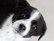 ������: �������� ����� ����� ���� ���, ����� - �����. �� ����� ������ �������� 4 ��. ��� �� ������ 2- �������. �������. ����� ����������� ���������. ����� � �