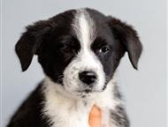 �������� ����� ����� ���� ���, ����� - �����. �� ����� ������ �������� 4 ��. ��� �� ������ 2- �������. �������. ����� ����������� ���������. ����� � �, ������ - ����� �����