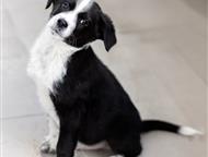 ������: �������� ����� ����� ���� ���, ����� - �����. �� ����� ������ �������� 4 ��. ��� �� ������ 2- �������. �������. ����� ����������� ���������. ����� � �