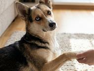 ������: ��� - ����������� ������� � ������� �� ������ ����� ������ � ��. ��� - ��� ����������� (���� ��������) ����� ����� � ������ � ���� �����. �� ����� ���