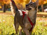 ������: ���� - ����������� �������, � ����� ������ ������� ������ � ��. ���� �� ����������, �� ������, �� ������� ��������, �� ����������� ������� �� ��������