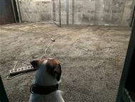 ������: ������ ���� ����� ����� ���������������� �400 �500 ������ ���� � �������������� ����� ����� ���������������� � ��� �����������   ������� ��� ���������