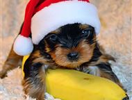 ������� ������������ ������� ��������� �������� ������ ������������ �������! 👍    ������� ���, ����������, ���, ������������ �������������, �����-��������� - ������� �����,  ������