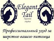 -    , - Elegant tail    -    . ,  -   