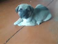   3   2 .  . 5 ., - -  ,  