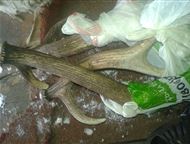 �������: ���� ����� ��������� ����������� ���� �����. � ������� ����� 10��. �������� � ����������� �������. �������� ������ ������. ������� ������ �� ����.