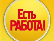 pecae ac  p ao a y ep p  cc , ae o ropy c ky ooe k,  -   